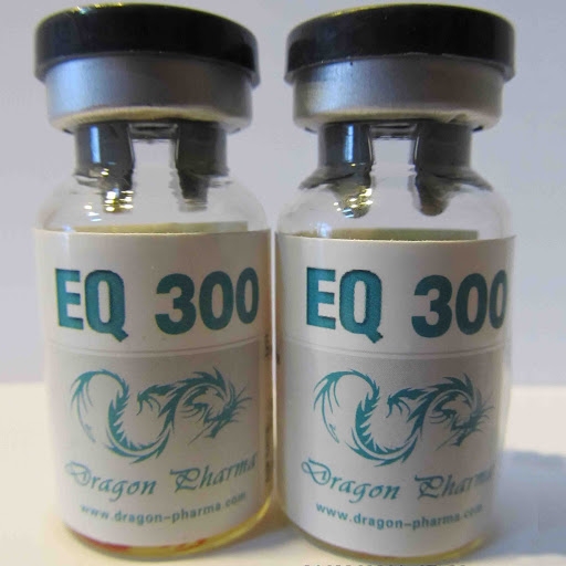 EQUIPOISE 300