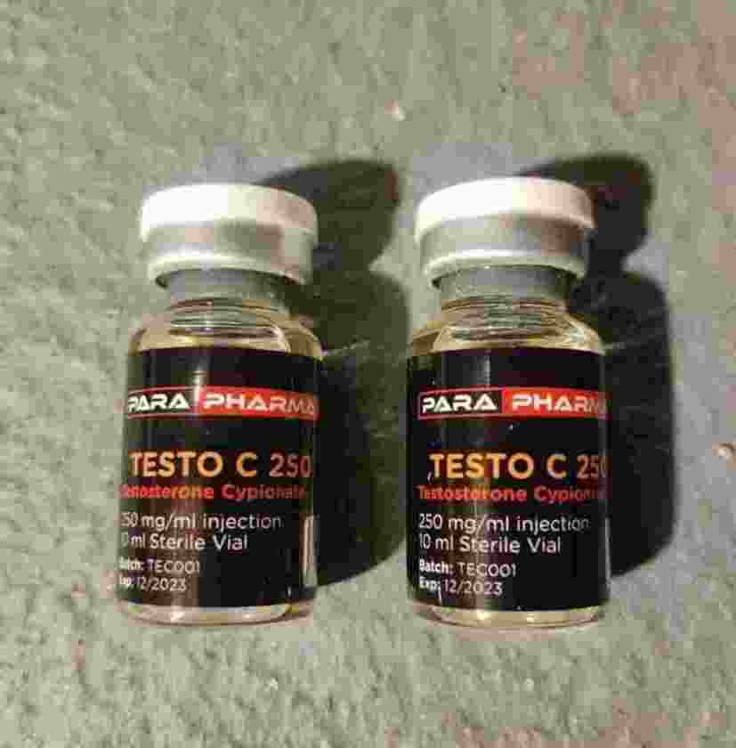 testo c 250